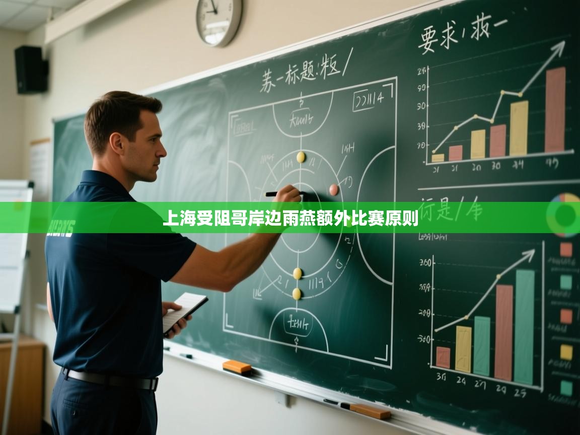 上海受阻哥岸边雨燕额外比赛原则 第1张