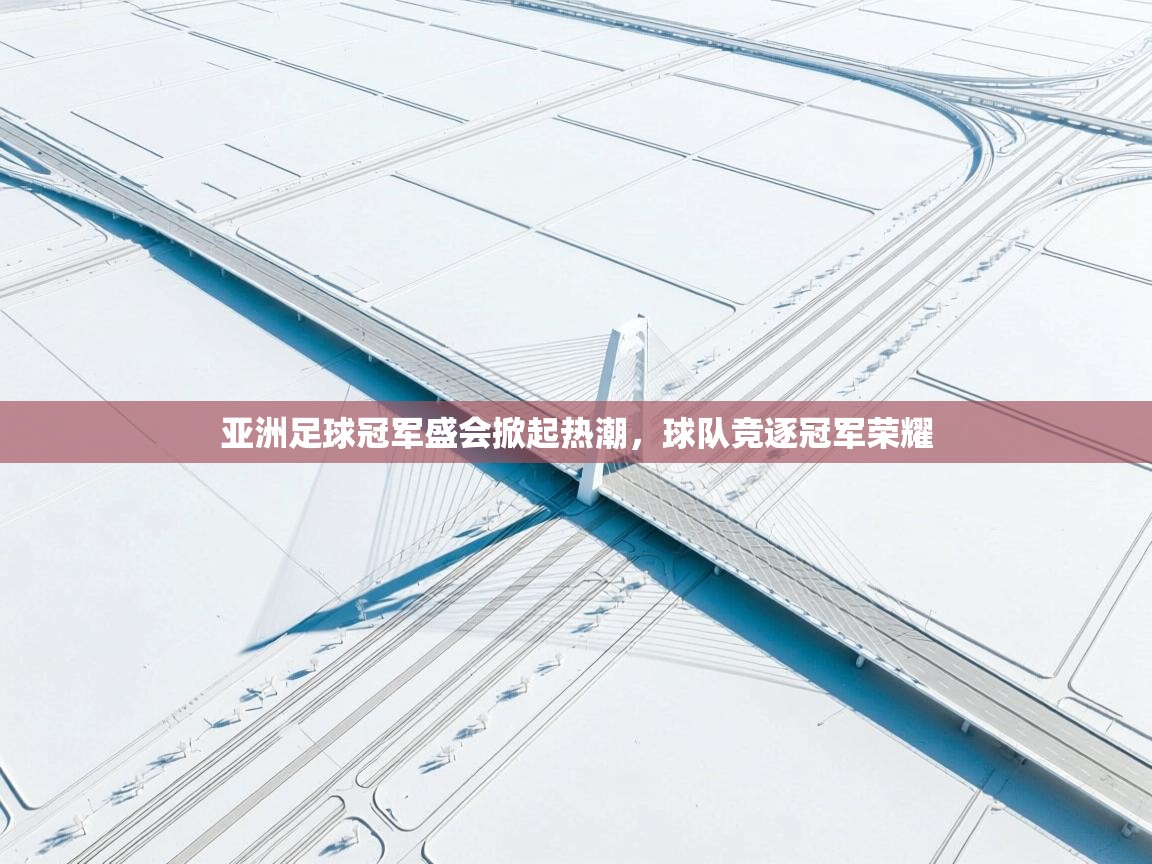 亚洲足球冠军盛会掀起热潮，球队竞逐冠军荣耀  第2张