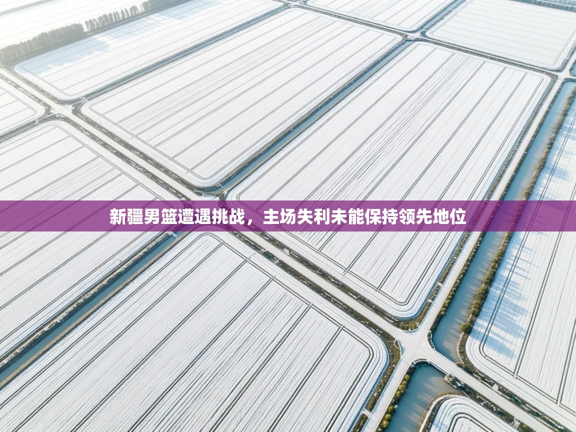 新疆男篮遭遇挑战,主场失利未能保持领先地位 第2张