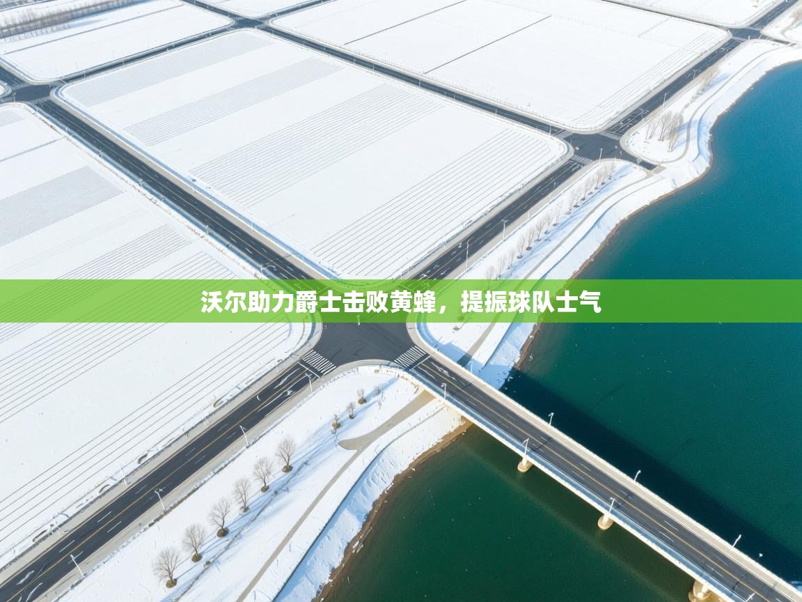 沃尔助力爵士击败黄蜂,提振球队士气 第2张