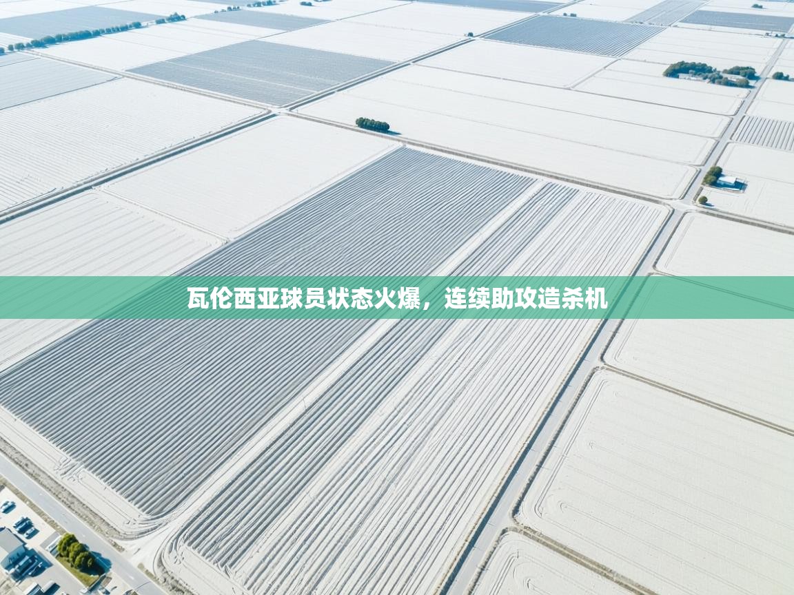 瓦伦西亚球员状态火爆，连续助攻造杀机  第2张