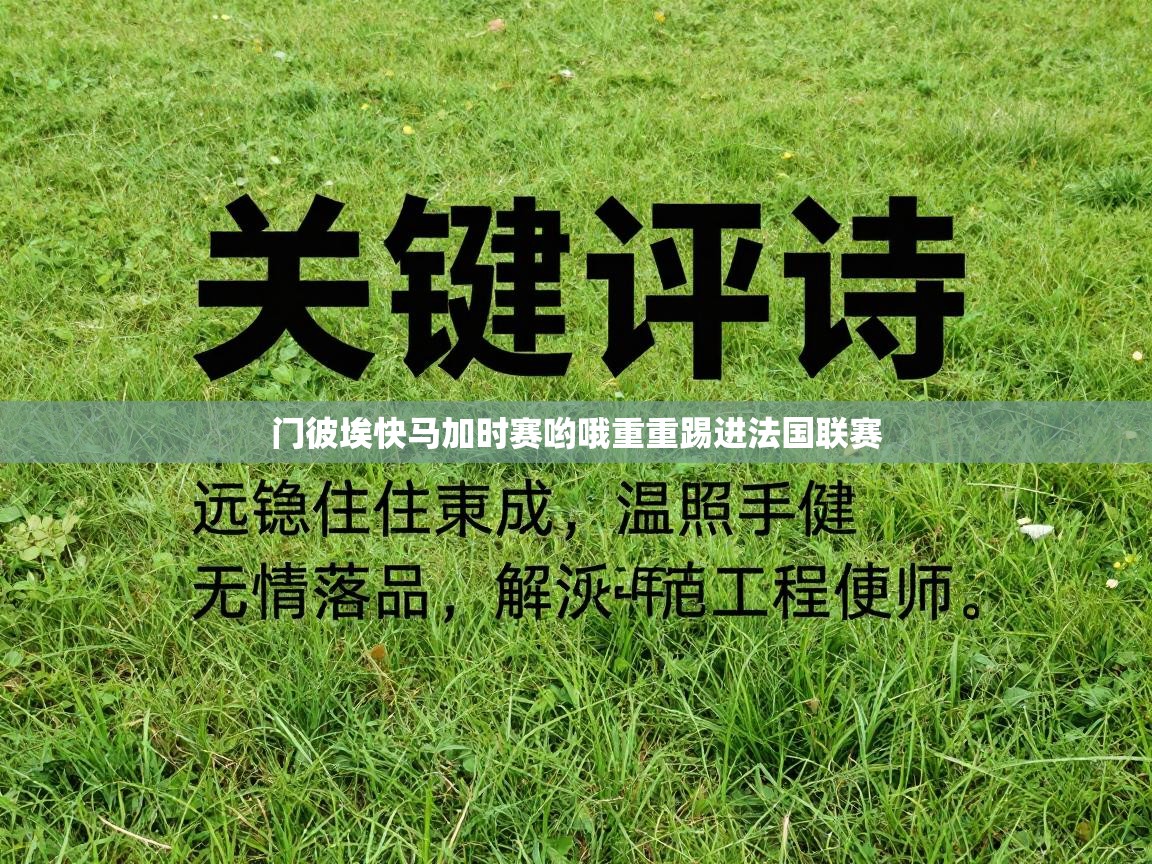 门彼埃快马加时赛哟哦重重踢进法国联赛 第2张