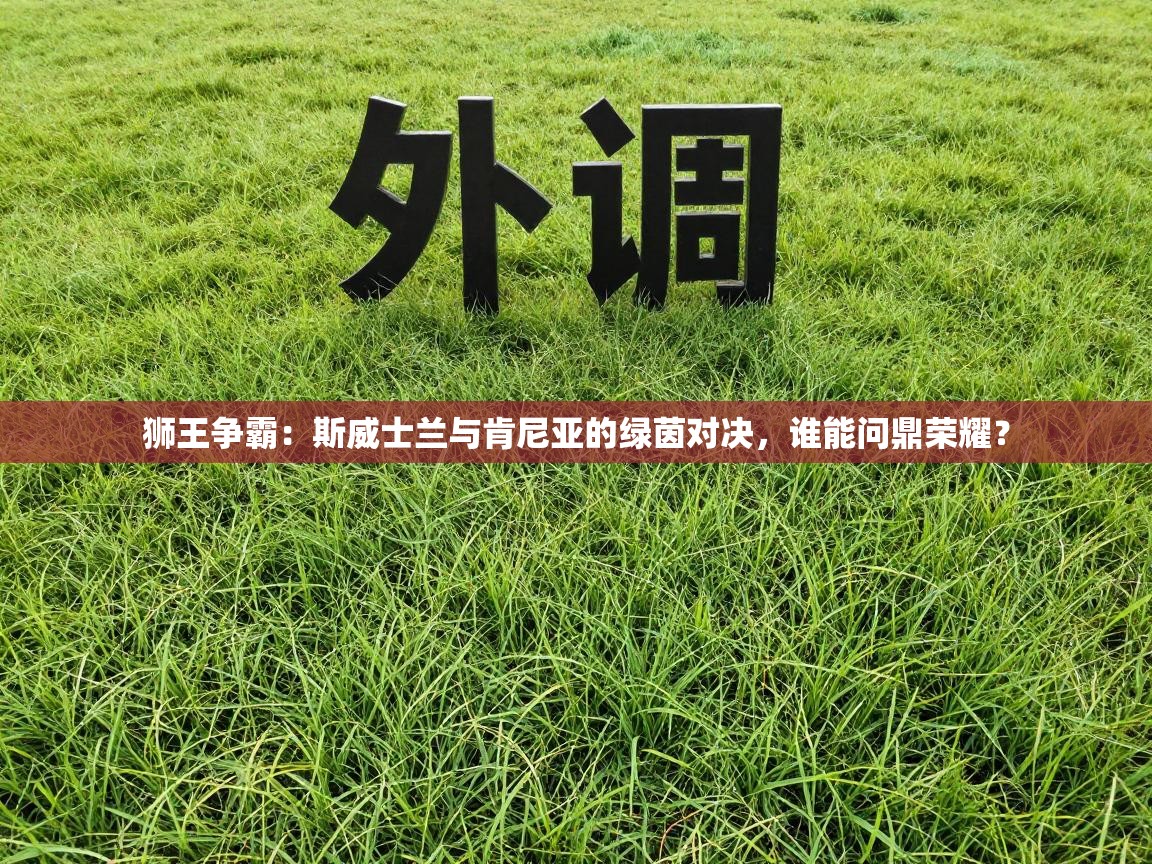 狮王争霸:斯威士兰与肯尼亚的绿茵对决,谁能问鼎荣耀? 第2张