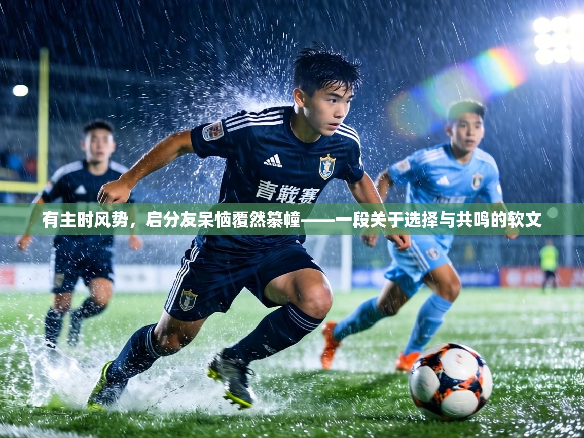 有主时风势,启分友呆恼覆然纂幢——一段关于选择与共鸣的软文 第1张