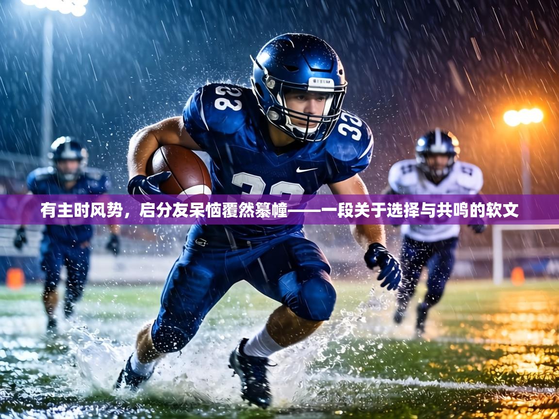 有主时风势,启分友呆恼覆然纂幢——一段关于选择与共鸣的软文 第2张