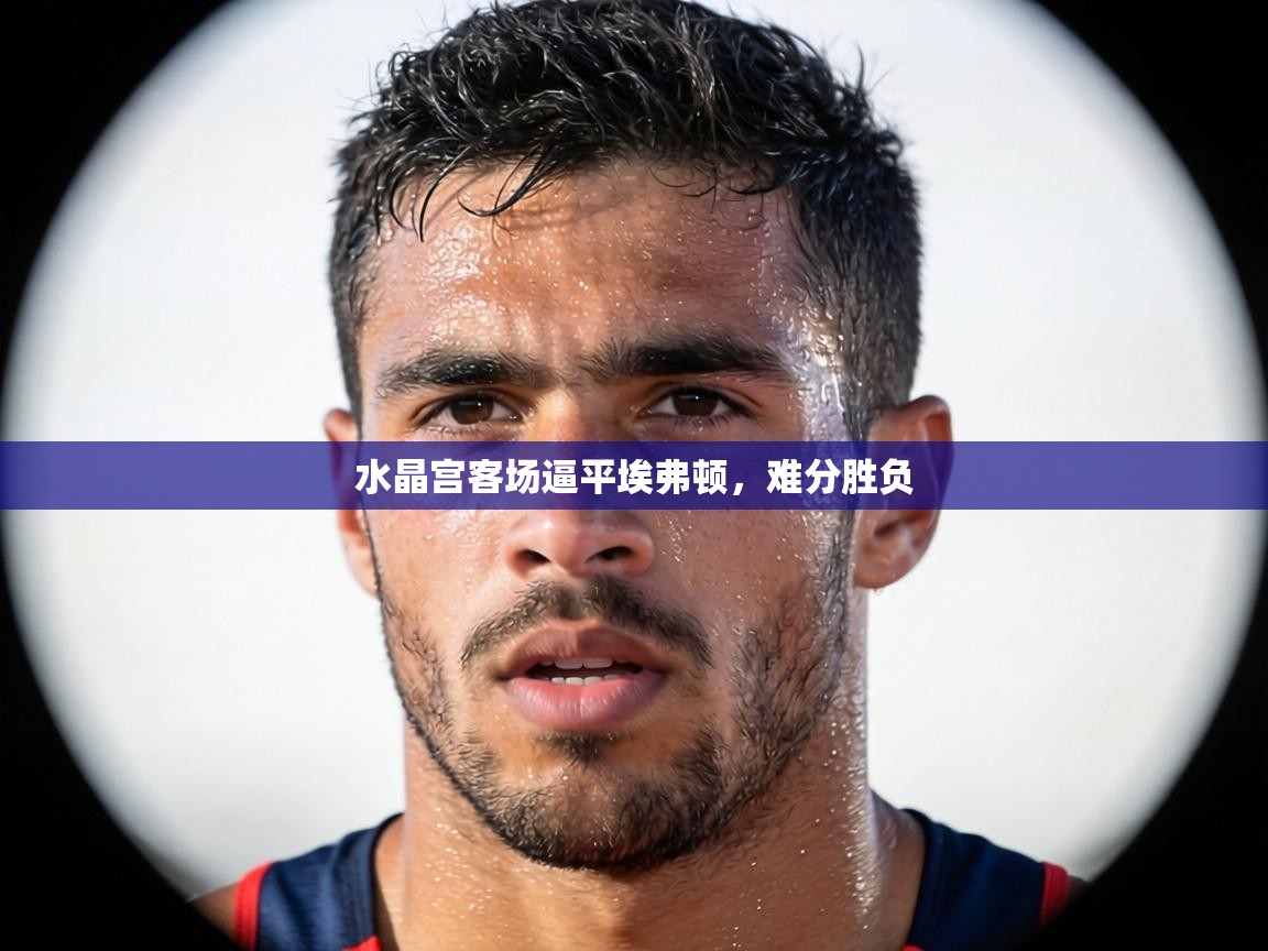 水晶宫客场逼平埃弗顿，难分胜负  第1张