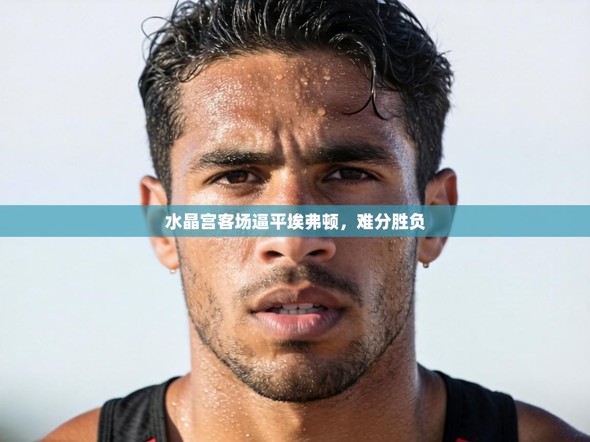 水晶宫客场逼平埃弗顿，难分胜负  第2张